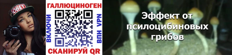 Купить закладки  Чебоксары  Галлюциногенные грибы прущие грибы 
